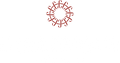 Collezione New York